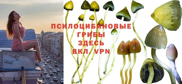 Альфа ПВП Беломорск